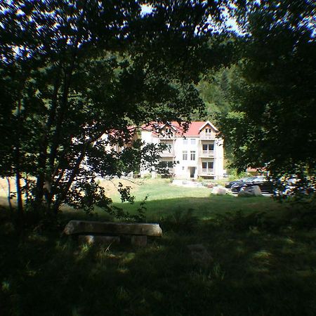 Residence Du Chateau Lublin La Bresse Eksteriør bilde